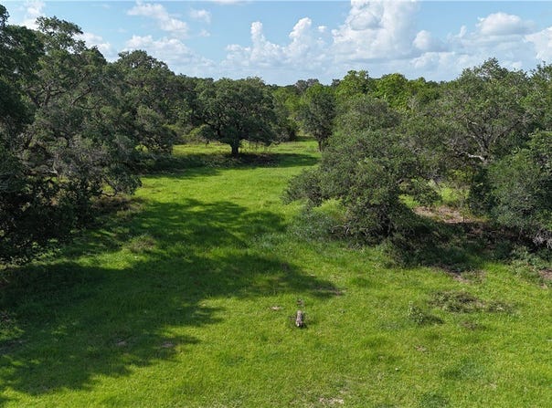 10772 State Highway 111, Edna, TX 77957