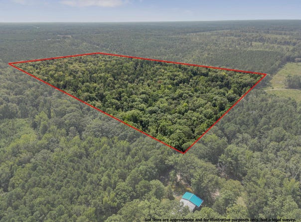 Elkins, White Hall, AR 71602
