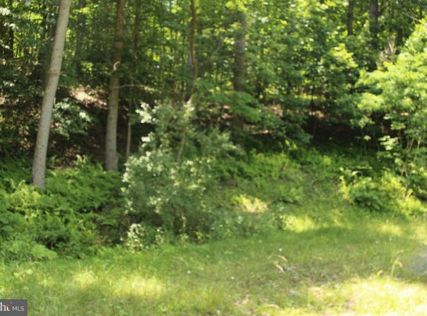 NETHERS, SPERRYVILLE, VA 22740