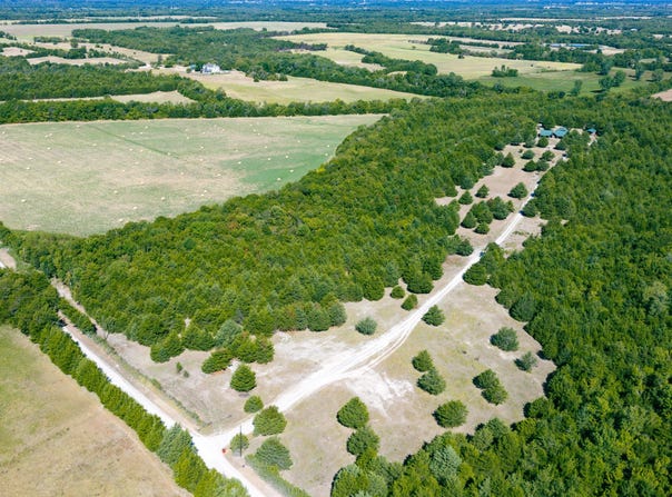 CR 3040, Bonham, TX 75418