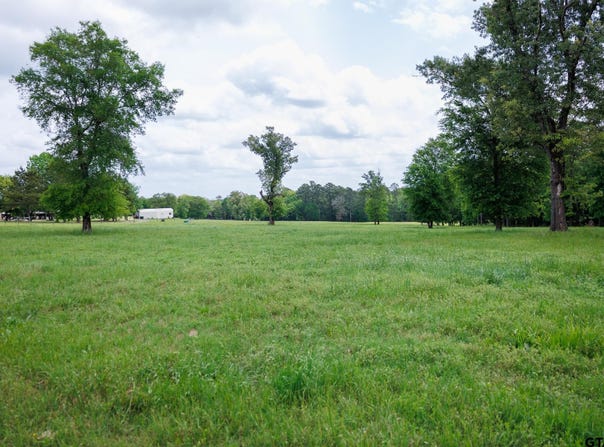 An CR 336, Palestine, TX 75803