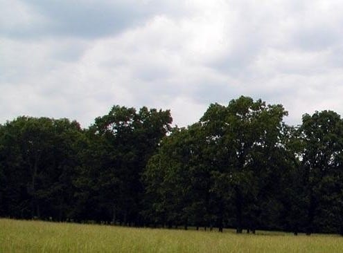 U.S. Highway 160 W, West Plains, MO 65775