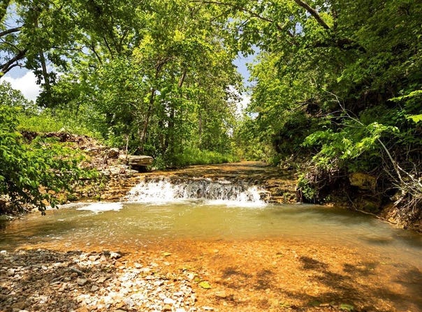 Shelton Road, Willow Springs, MO 65793