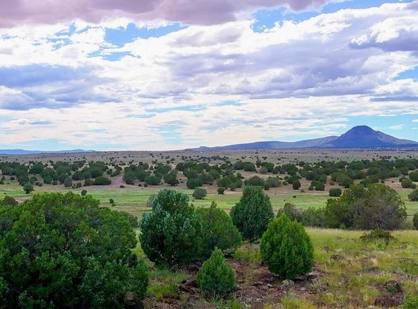 Rocky Hill Rd Lot C 10 Acres, Ash Fork, AZ 86320