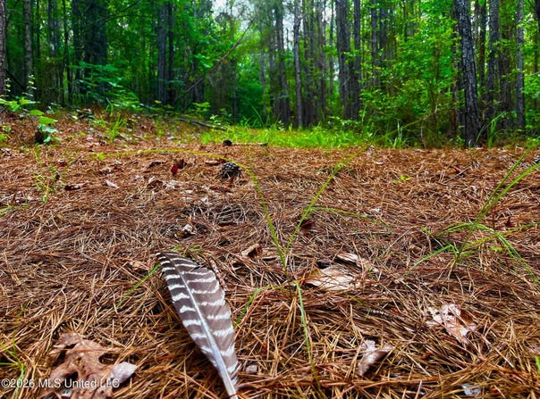 Arthur Drive, Brookhaven, MS 39601