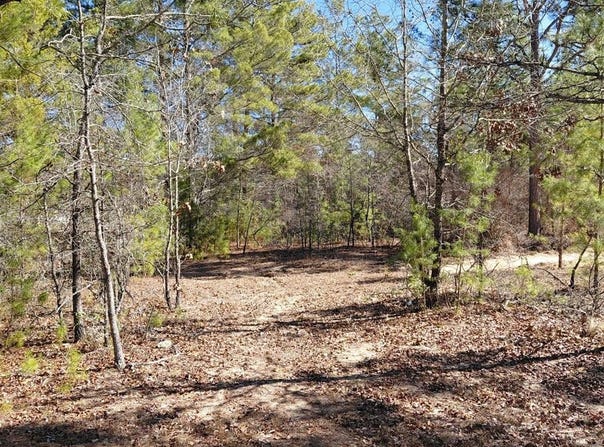 100 Sparrow Drive, Box Springs, GA 31801