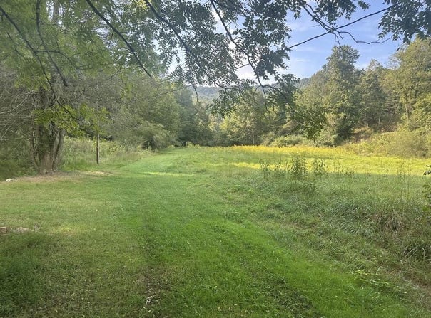 191 Roach Cove Road, Hayesville, NC 28904