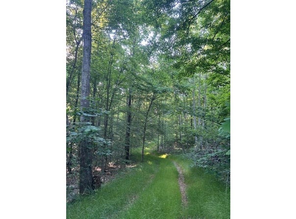 Greenbrier Rd, Breeding, KY 42715