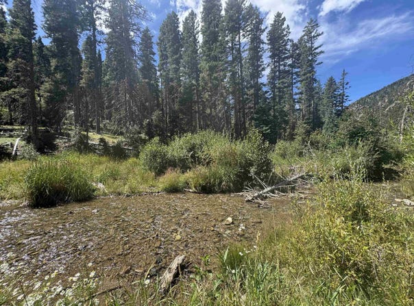 1325 Highway 150, Taos Ski Valley, NM 87525