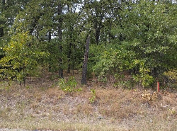 126 Rising Star, Mabank, TX 75156