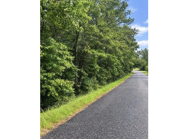 Kite Rd, Pittsview, AL 36871