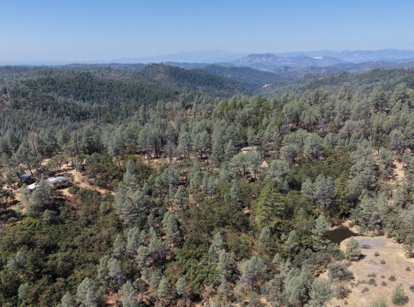 93.57 Acre Backbone Road, Bella Vista, CA 96008