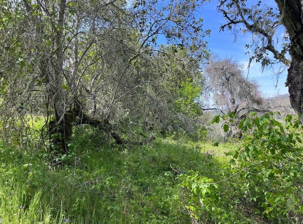 33446 E Carmel Valley RD, CARMEL VALLEY, CA 93924
