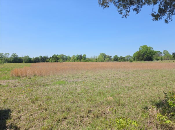 Cr-4240, Simms, TX 75574