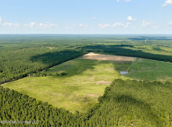 79 County Road 2349, Louin, MS 39338