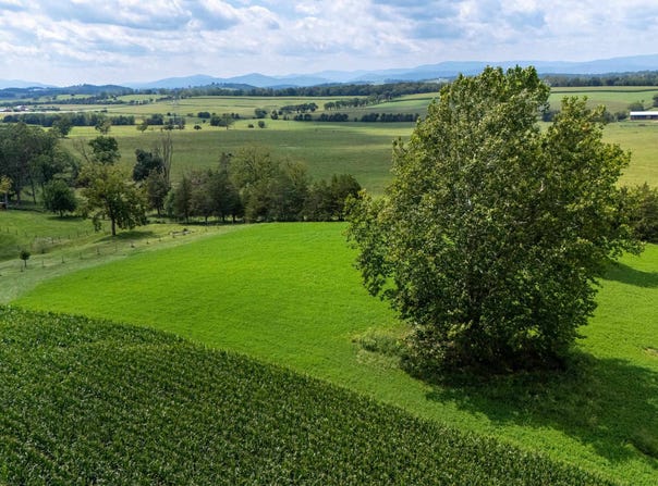 CENTERVILLE RD, BRIDGEWATER, VA 22812