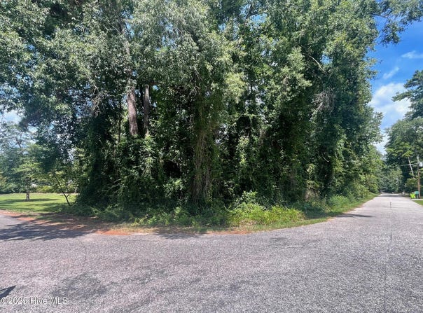 Wildwood Road lot: 110, Whiteville, NC 28472