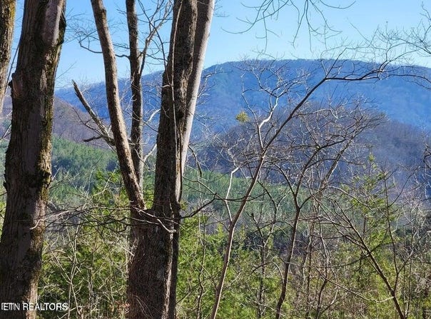 Highway 39E, Englewood, TN 37329