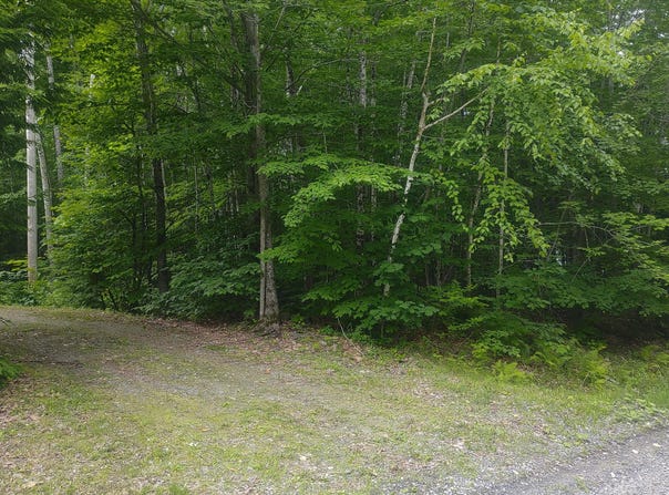 Stream Road, Vienna, ME 04360