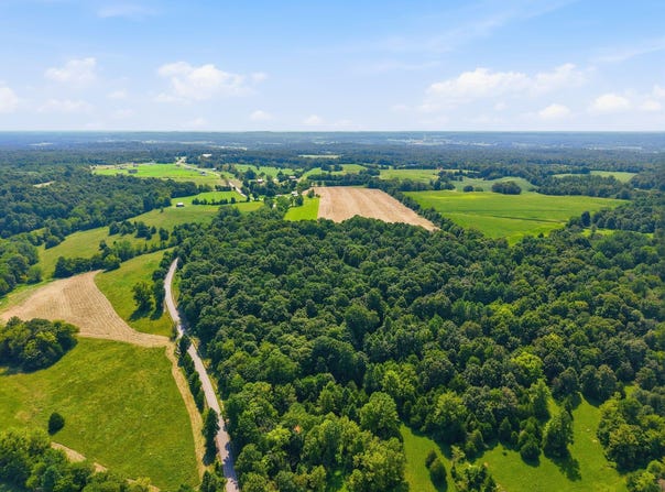 15529 St John Road, Rineyville, KY 40162