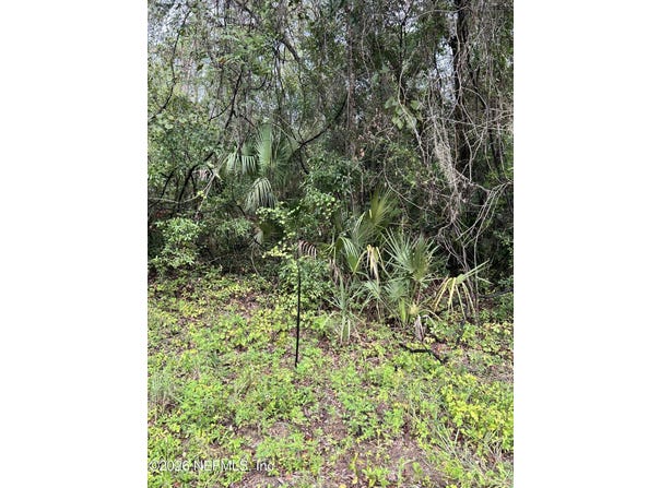 ANNETTE Avenue, Interlachen, FL 32148