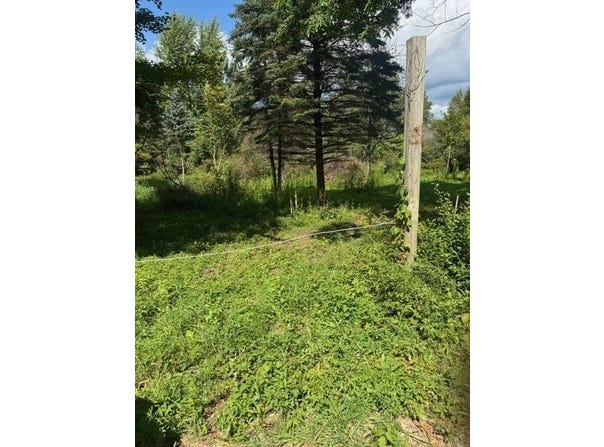 Parcel B Maple Grove, Hastings, MI 49058