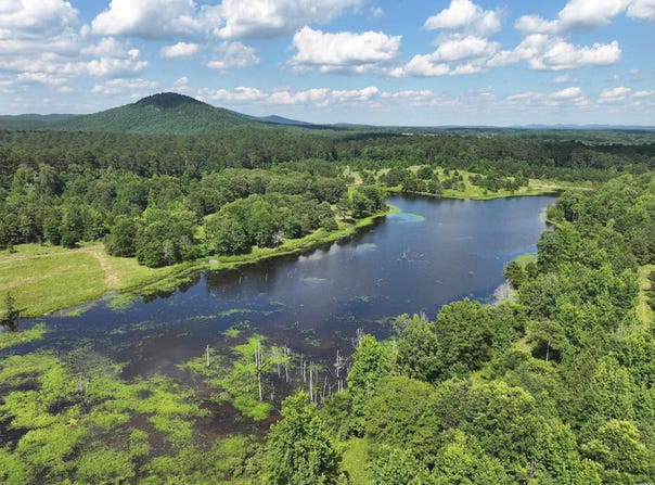 N BUMBLE BEE Road, Glenwood, AR 71943