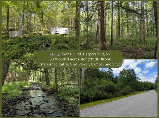 1245 Quaker Hill Road, Jefferson, NY 12093