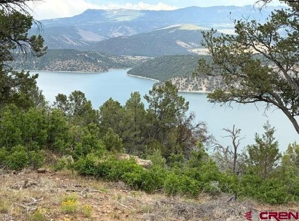 254 Waterview Cove, Ridgway, CO 81432