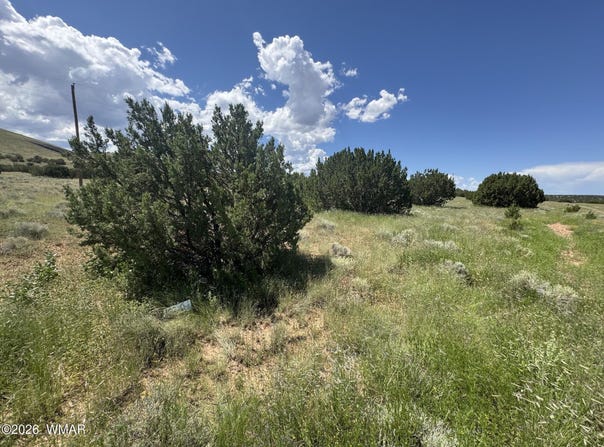 103 CR 5202, Concho, AZ 85924
