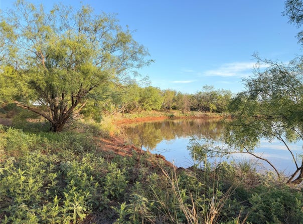 Nowell Road, Quanah, TX 79252