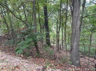 Muirfield Drive lot: 710A, Porto Cima, MO 65079