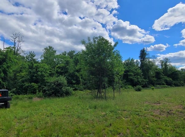 Buckler Rd, Monroe Twp, OH 45157