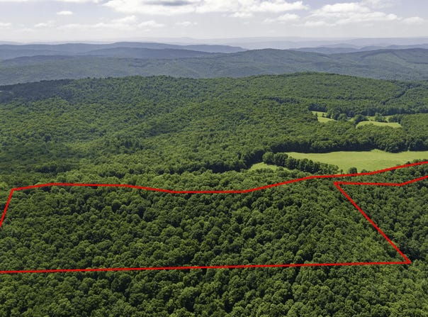 Kates Mountain Rd, Caldwell, WV 24925