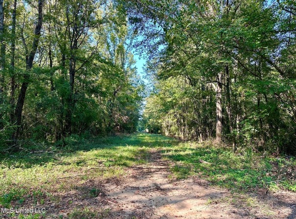 NE Williams Street, Brookhaven, MS 39601