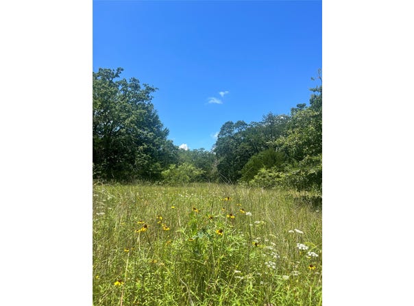FM 39, Groesbeck, TX 76642