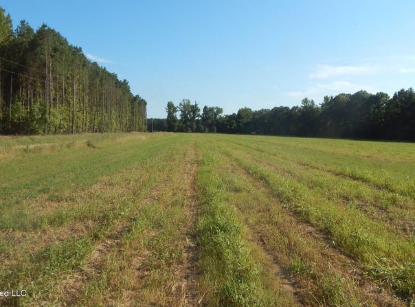 Co Rd 247, Bruce, MS 38915
