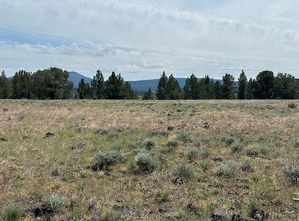 Rim Drive, Sprague River, OR 97639