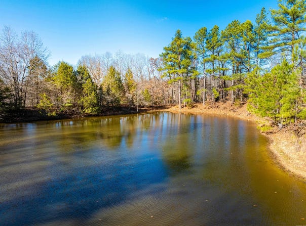 Pleasant Run Rd, Mammoth Spring, AR 72554