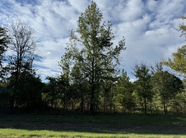 FM 195, Bagwell, TX 75412