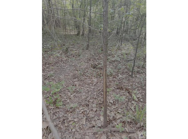 1885 Co rd 2342, Marietta, TX 75566