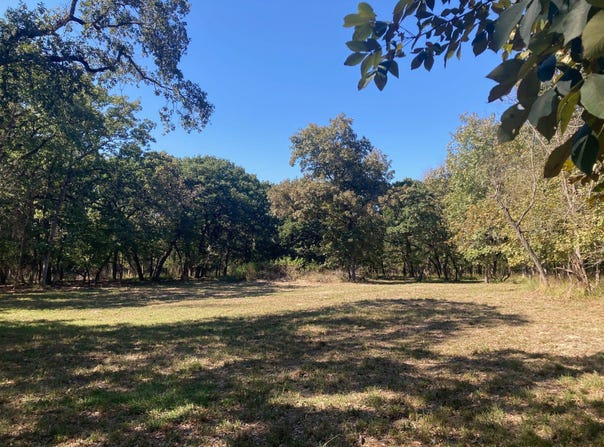 8840 Timber Ridge, Larue, TX 75770