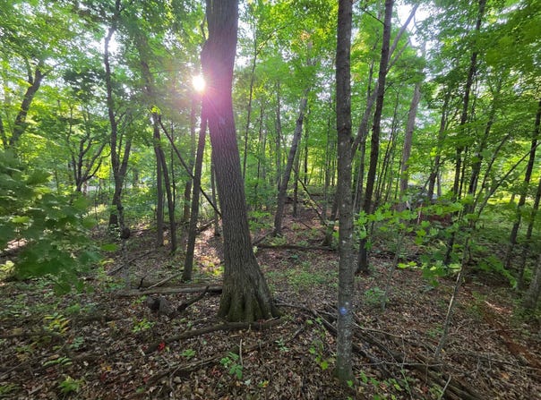 Deer Trail, Garrison, MN 56450