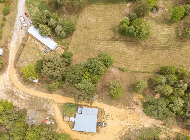 365 TURNBOW Ln, Crump, TN 38327