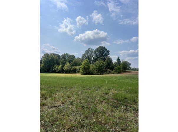 TRACT 2 ANDREW Rd, Unincorporated, TN 38049
