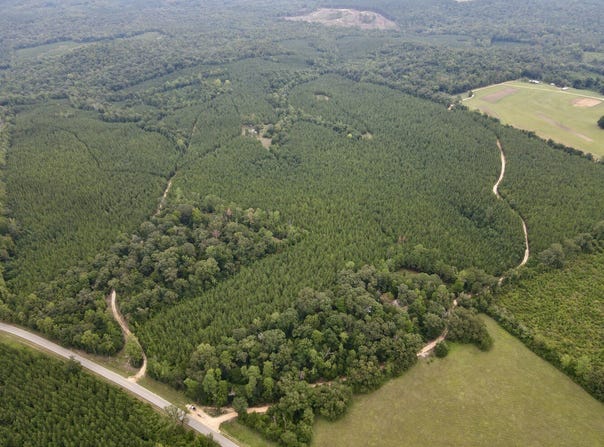 Walker Springs Road, Tract D, Jackson, AL 36545