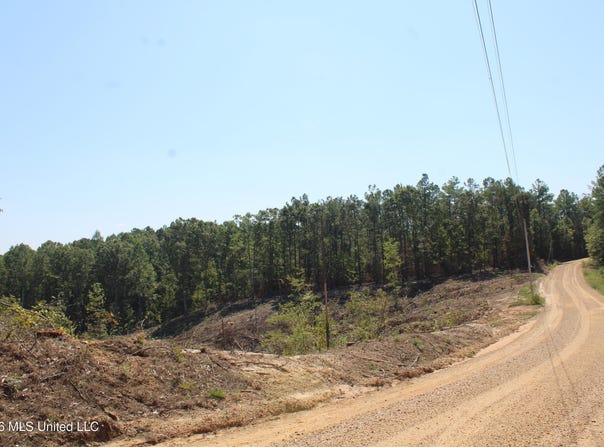 350 Baumann Road, Hickory Flat, MS 38633
