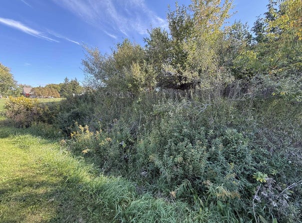 Hamilton Way lot: 67, Gladwin, MI 48624