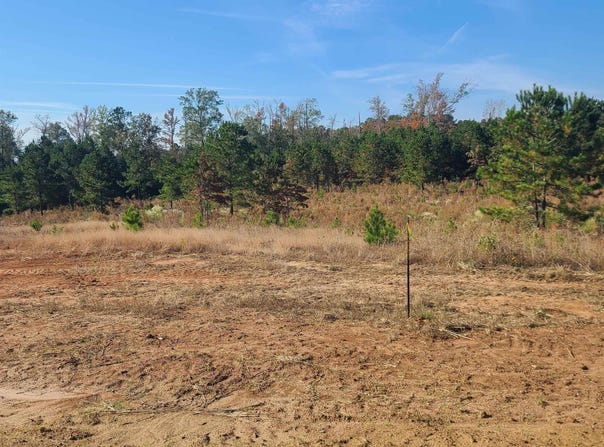 219 CHIEF LANE, Calhoun, LA 71225