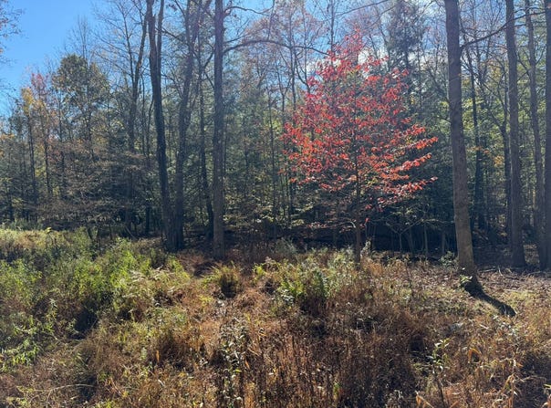 00 Maple Ave, Marsteller, PA 15760